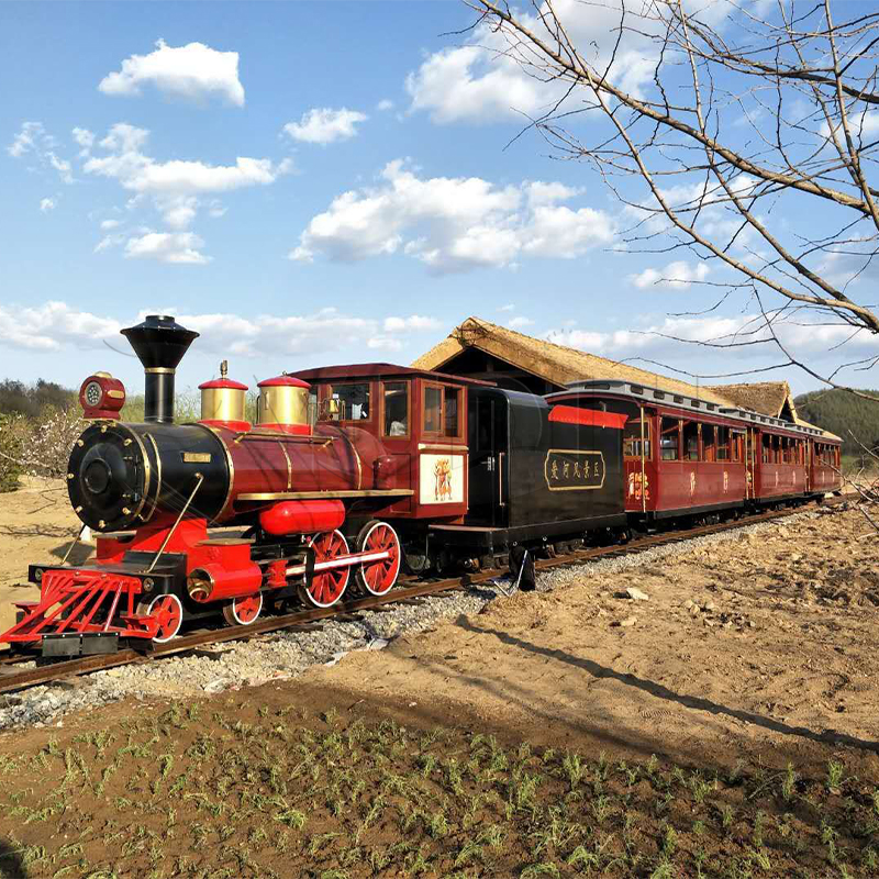 Tren Turístico De Grandes Vías