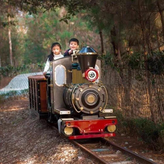 Tren Turístico De Pequeño Recorrido